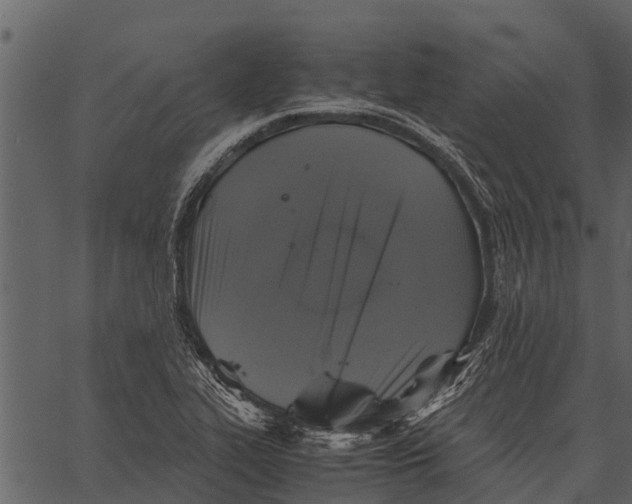 X0000062651319200601111141