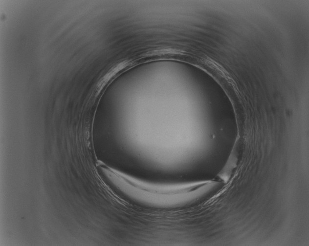 X0000062651321200601111141