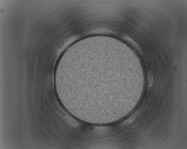 X0000062651322200601111141