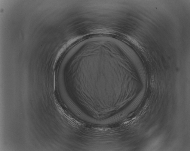 X0000062651323200601111141