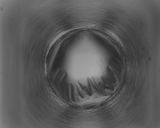 X0000062651324200601111141