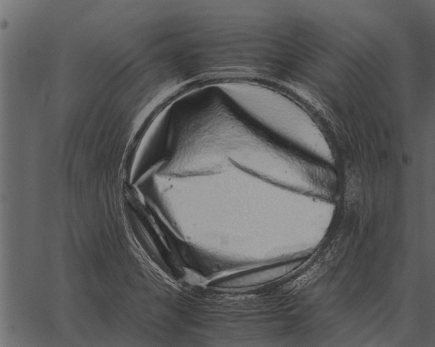 X0000062651325200601111141