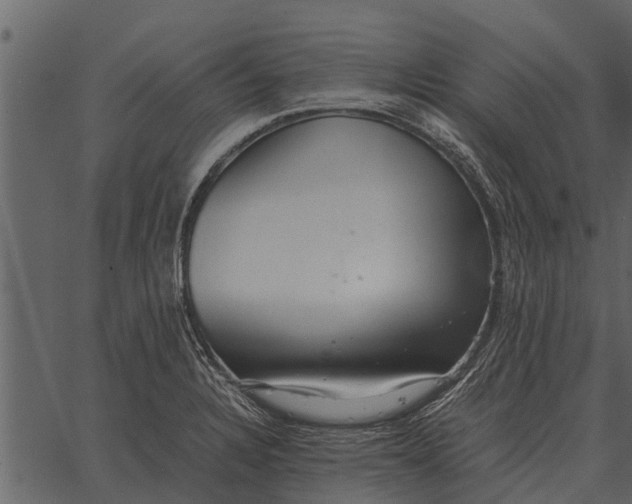 X0000062651328200601111141