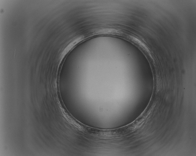 X0000062651330200601111141