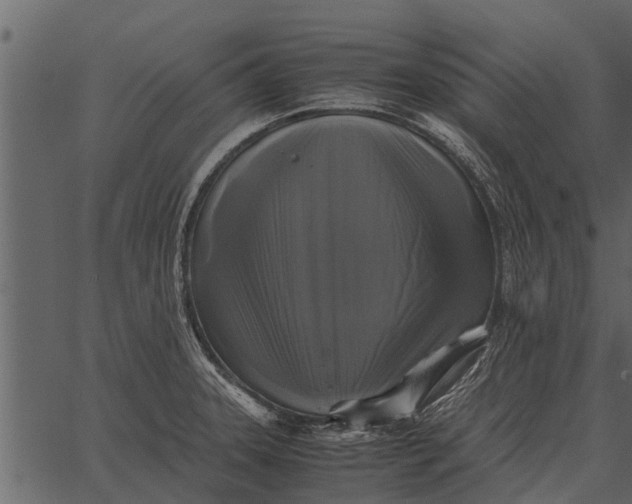 X0000062651331200601111142