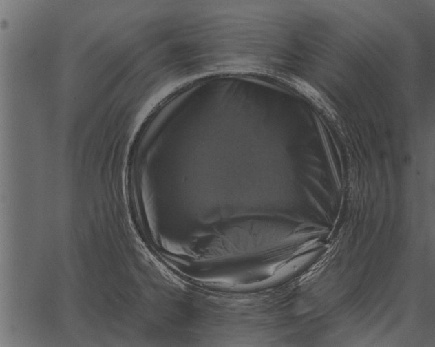 X0000062651334200601111142