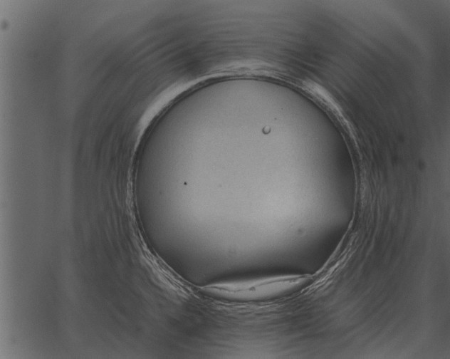 X0000062651336200601111142