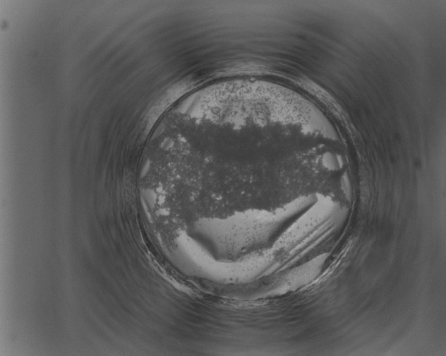 X0000062651337200601111142