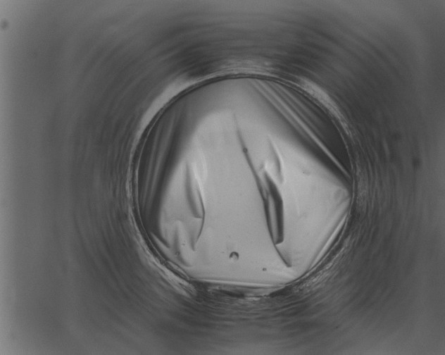 X0000062651339200601111142