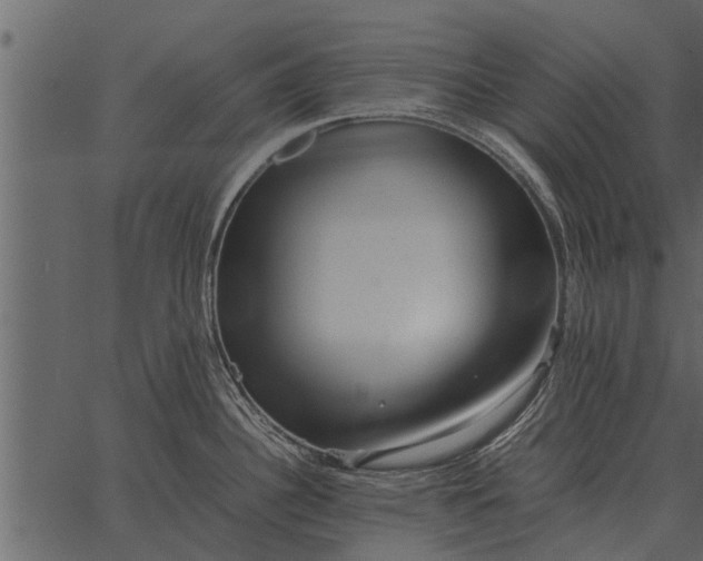 X0000062651340200601111142