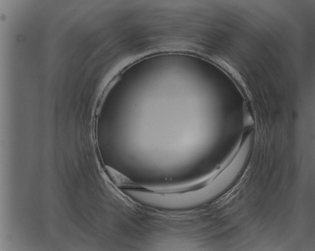 X0000062651342200601111142