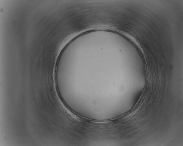 X0000062651343200601111142