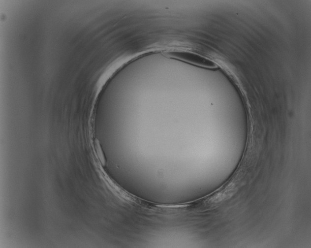 X0000062651344200601111142