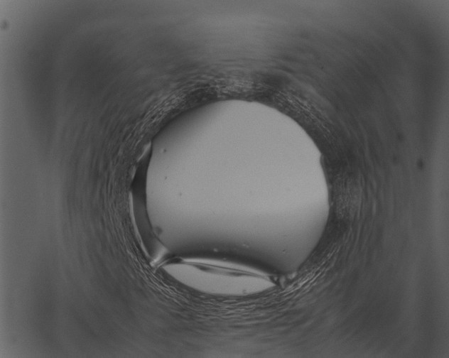 X0000062651345200601111141