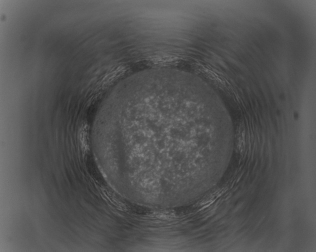 X0000062651346200601111141