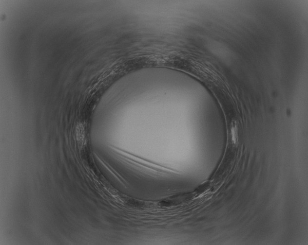 X0000062651347200601111141