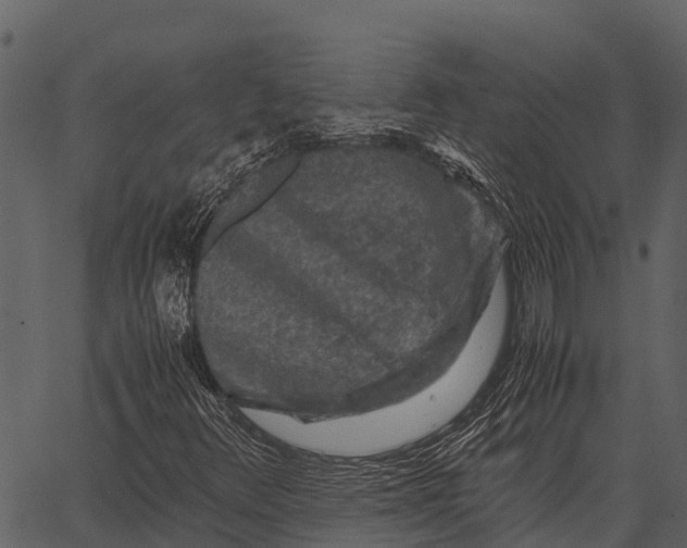 X0000062651348200601111141