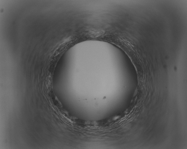 X0000062651349200601111141