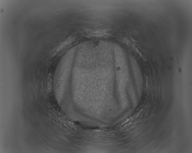 X0000062651350200601111141