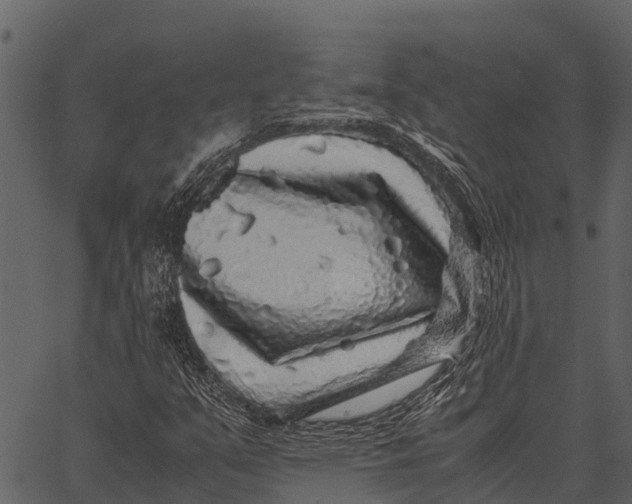 X0000062651351200601111141