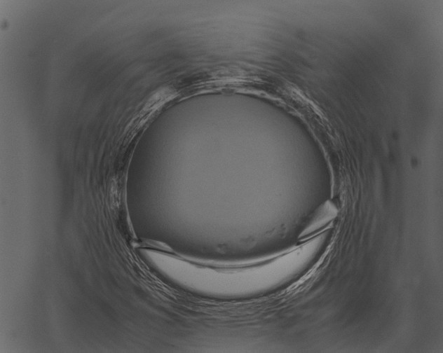 X0000062651353200601111141