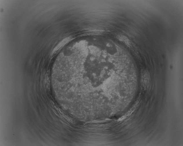 X0000062651354200601111141