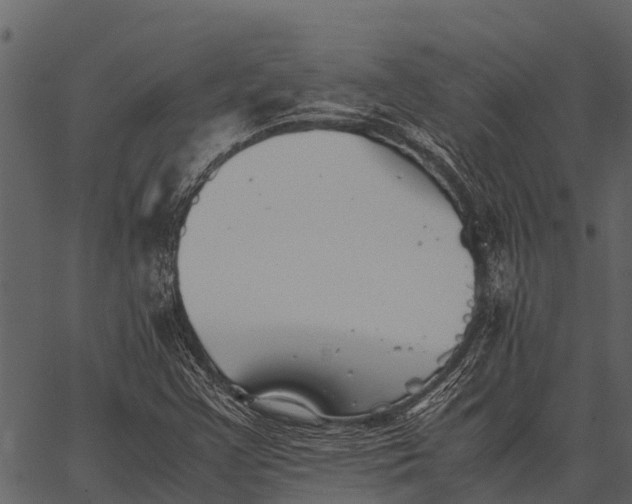 X0000062651355200601111141