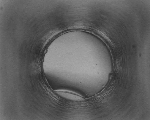 X0000062651356200601111141