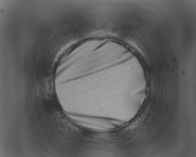 X0000062651358200601111141