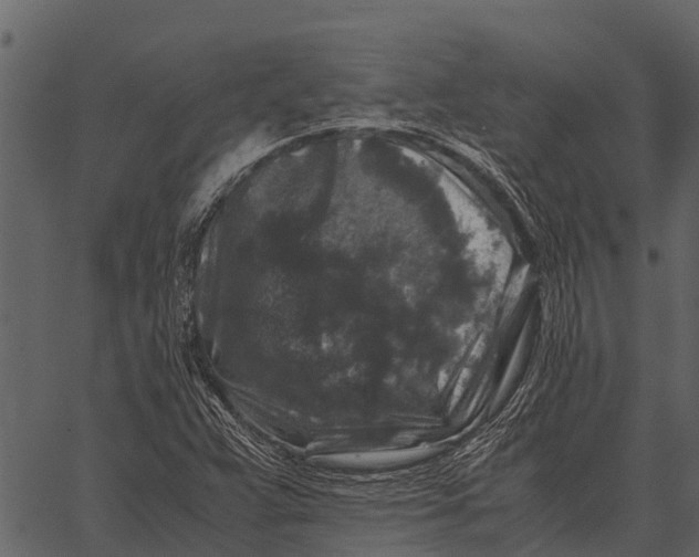 X0000062651359200601111141