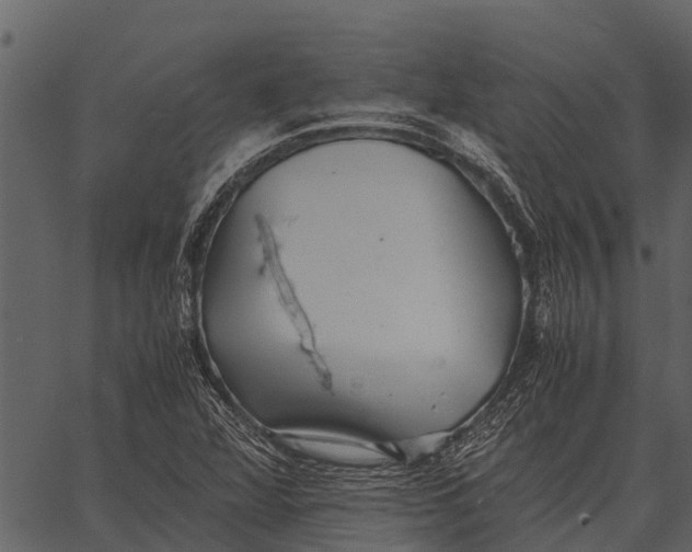 X0000062651360200601111141