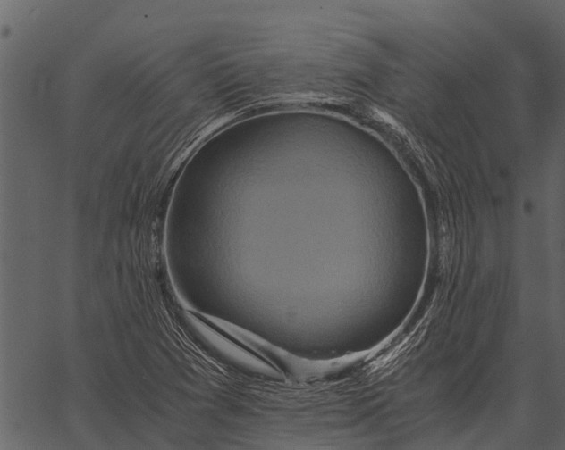 X0000062651361200601111141