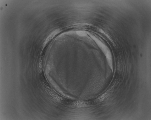 X0000062651362200601111141