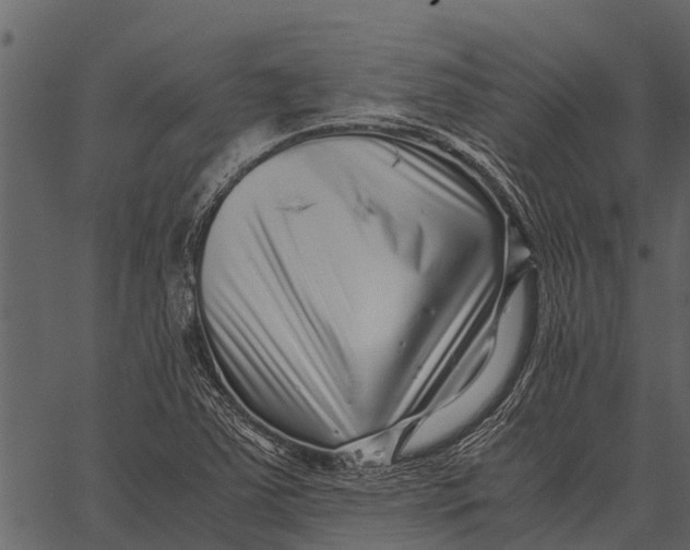 X0000062651363200601111141