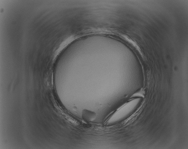 X0000062651365200601111141