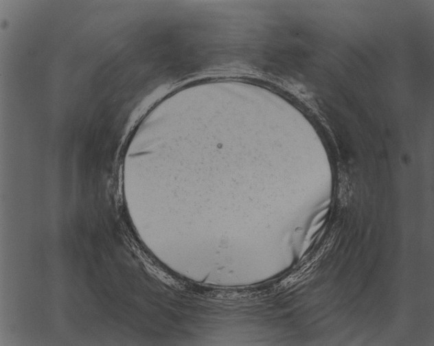 X0000062651366200601111141