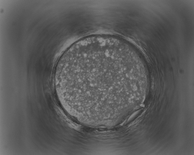 X0000062651367200601111141