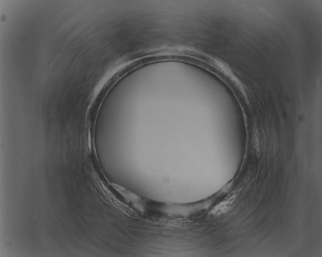 X0000062651368200601111141