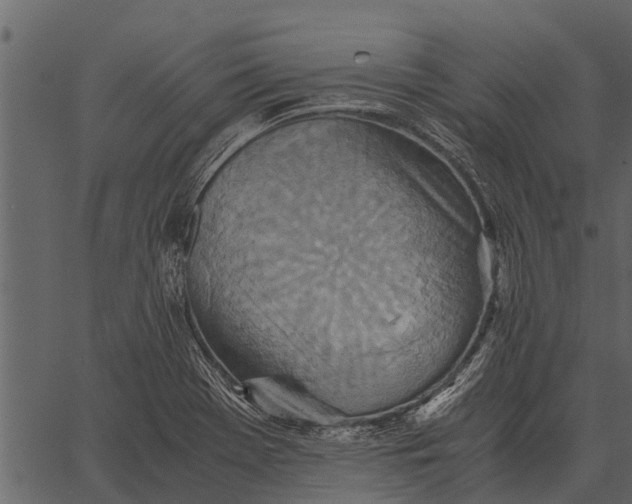 X0000062651369200601111140