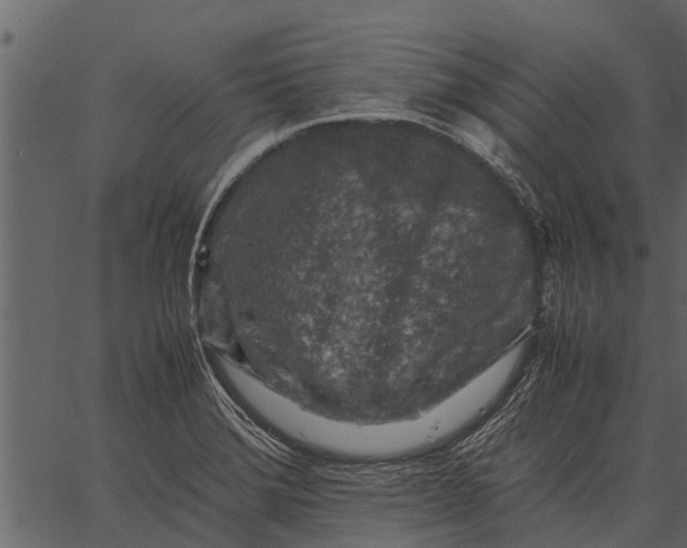 X0000062651372200601111140