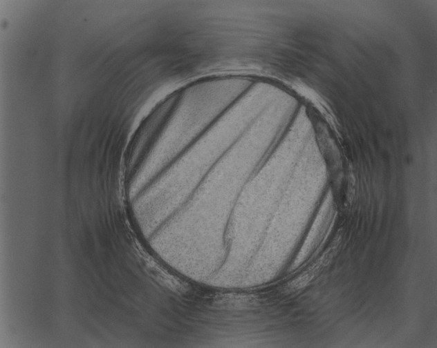 X0000062651374200601111140