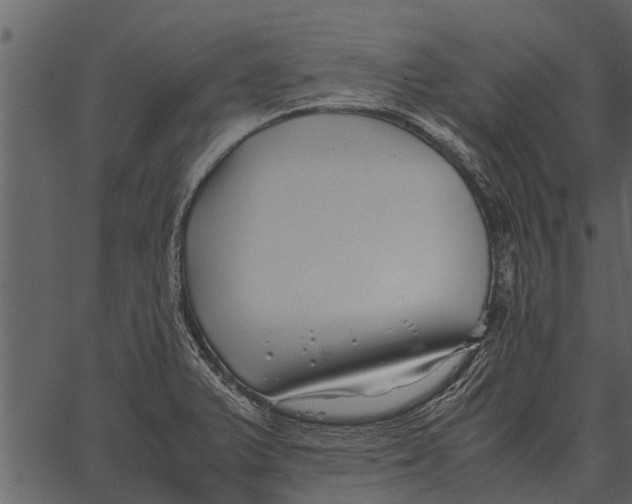 X0000062651375200601111140