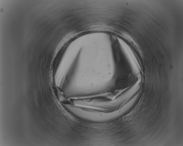 X0000062651376200601111140