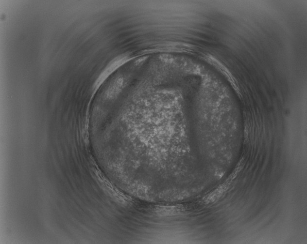 X0000062651378200601111140