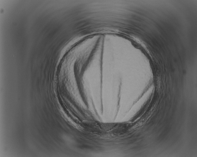 X0000062651379200601111140