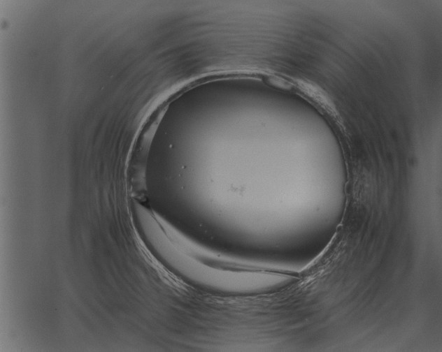 X0000062651380200601111140