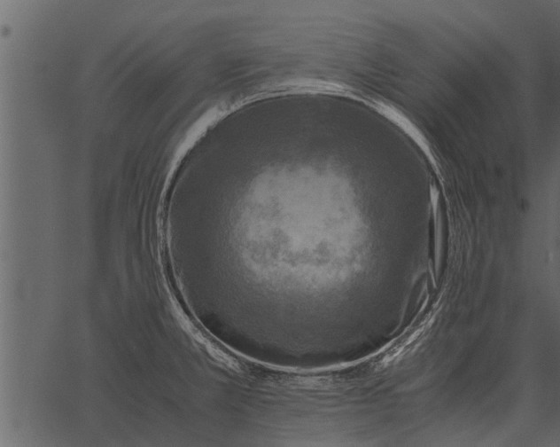 X0000062651381200601111140