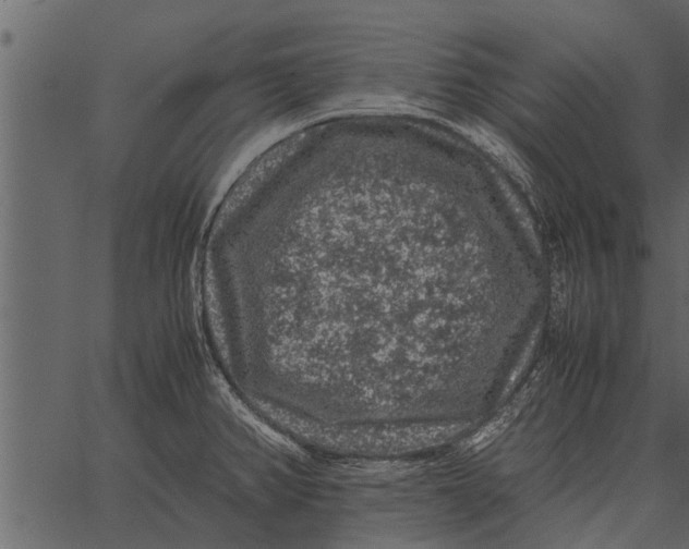 X0000062651382200601111140