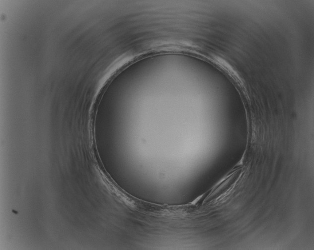 X0000062651384200601111140