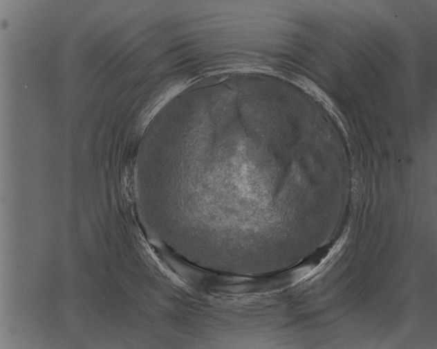 X0000062651385200601111140